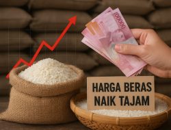 Harga Beras Naik Tajam, Pemerintah Janji Stabilkan Pasokan